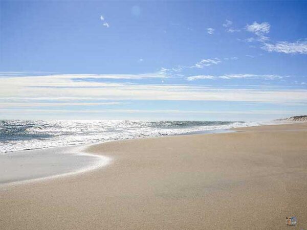 50 Great Things To Do In The Outer Banks Obx Nc Bucket List