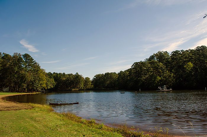 Cliffs of the Neuse State Park NC