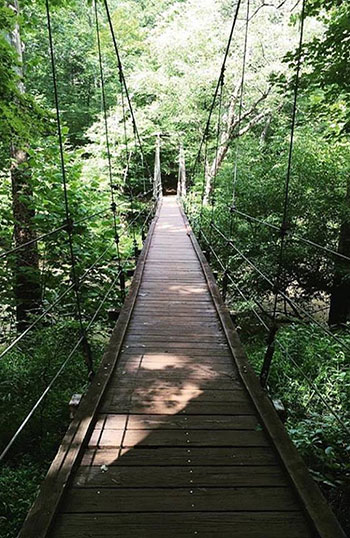 Cox Mountain Bridge Eno River State Park