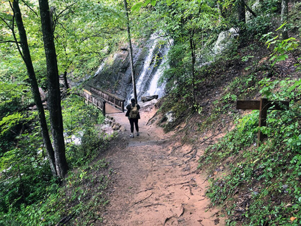 73 Best Hiking Trails in North Carolina (From West to East)