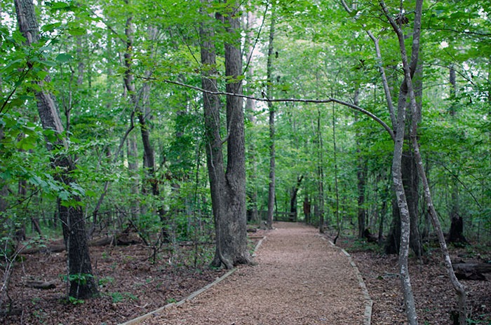 Hemlock Bluffs Nature Preserve Cary