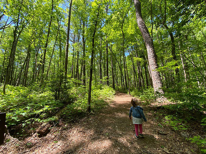 Medoc Mountain State Park Hiking Hollister NC