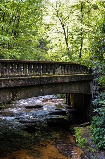 Moore Cove Falls Bridge