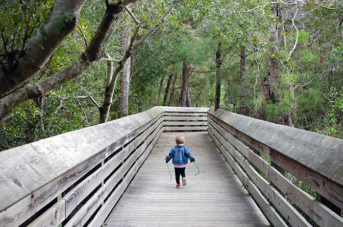 Nags Head Woods Boardwalk