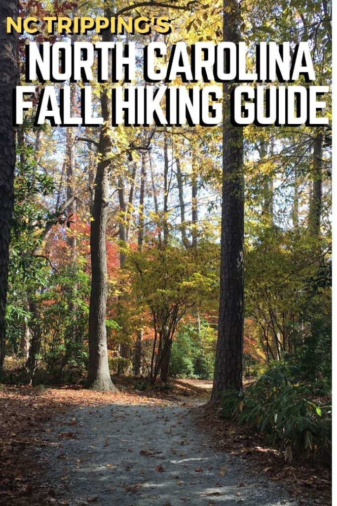 Hiking in North Carolina | 23 of the Best Trails in NC