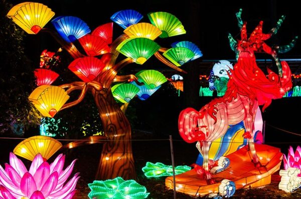 North Carolina Chinese Lantern Festival In Cary (How to See)