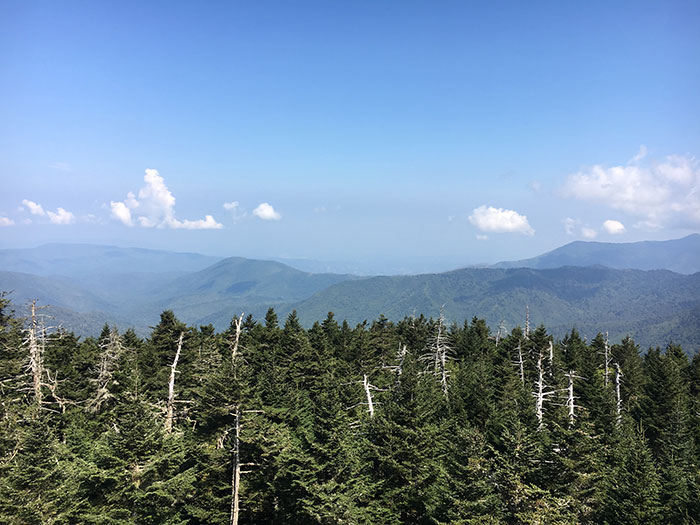 How to See Clingmans Dome Observation Tower: Great 360 Views