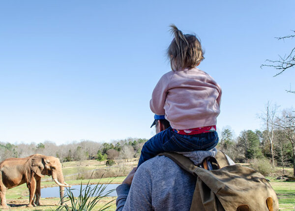 petting zoo near asheboro nc