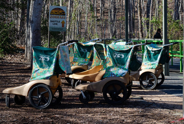 camping near asheboro zoo nc