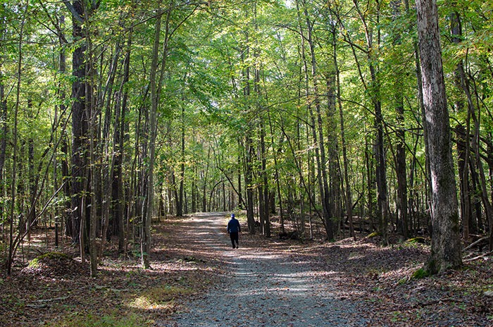 Carolina North hiking trail