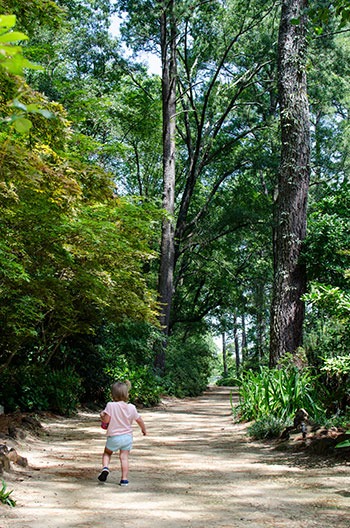 North Carolina Botanical Gardens Fayetteville Image