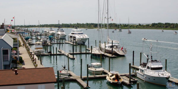 Rachel Carson Reserve Beaufort: Wild Horses + 4 Things To Do