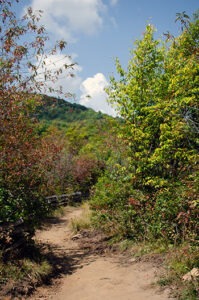 Graveyard Fields Hike (How To See 2 Waterfalls In 1 Trail)