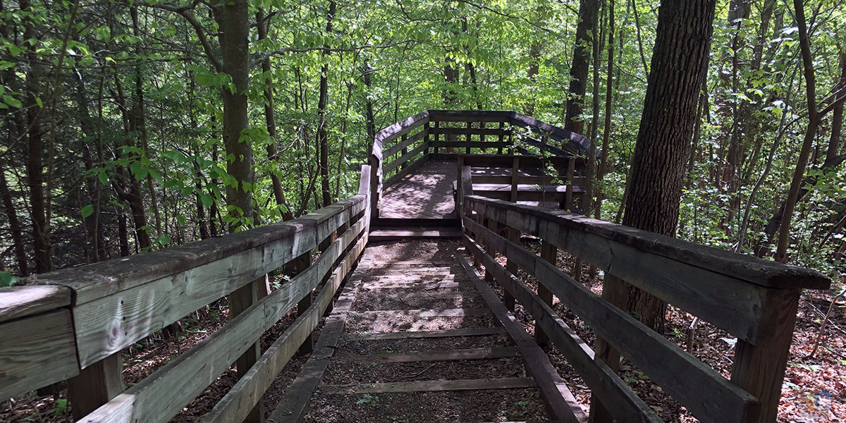 Hemlock Bluffs Nature Preserve Cary North Carolina