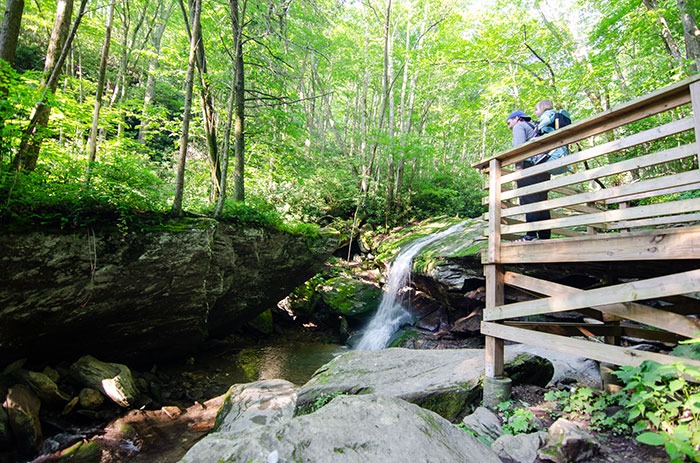 Otter Falls Trail: The Best High Country NC Waterfall Hike