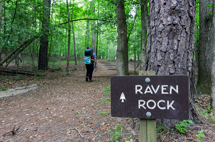 Raven Rock State Park Hikes And More Along The Cape Fear River