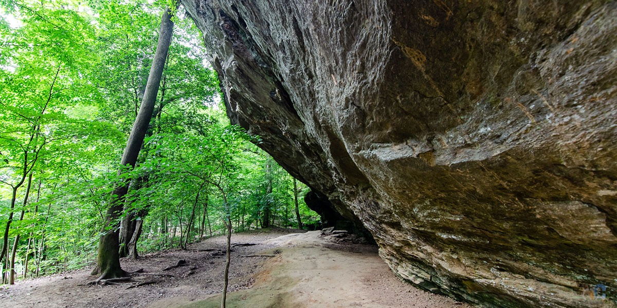 This guide explains why Raven Rock State Park is one of our favorites in North Carolina.