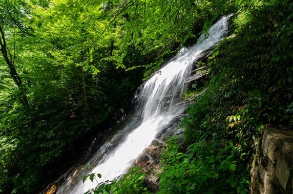 Amazing Hikes Near Boone And Blowing Rock (45 Of The Best!)