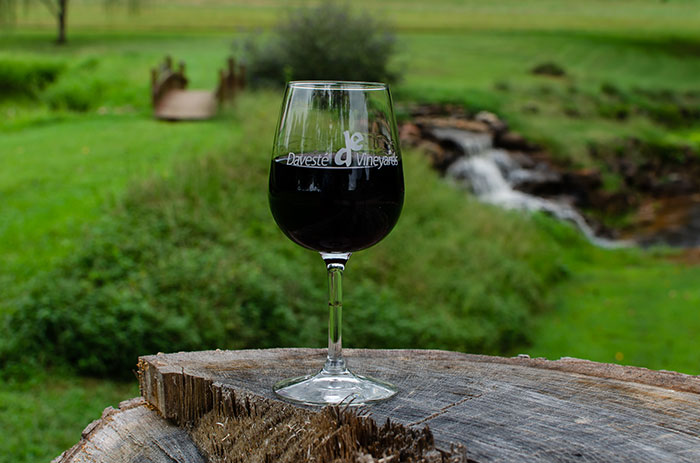 Vineyards near outlet me