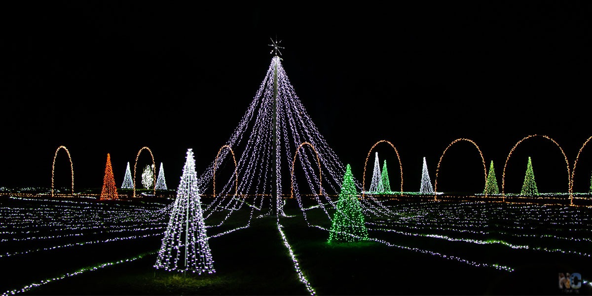 24 Most Festive Christmas Lights in North Carolina (in 2020)