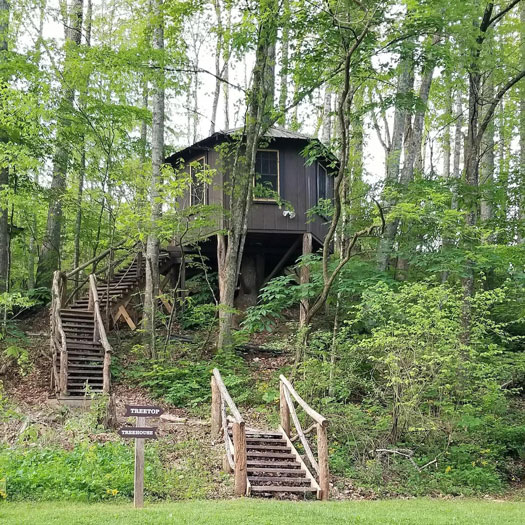 27 Of The Most Adorable Tiny Houses In North Carolina 0590