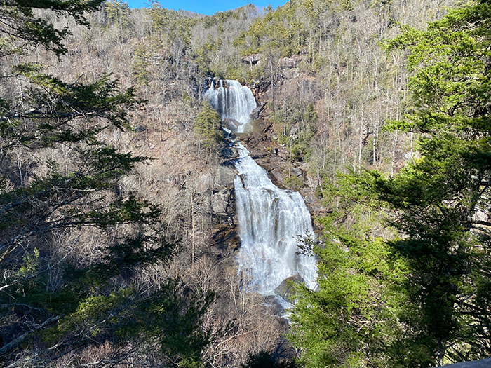 Bear Lake Reserve NC (Everything You Need to Know)