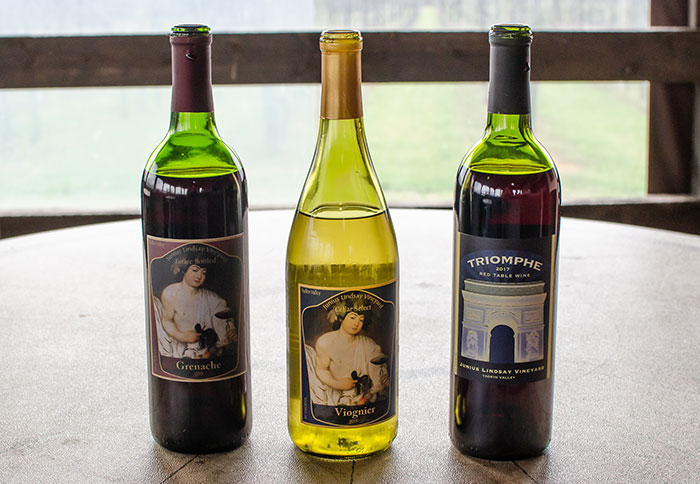 22 of the Best Yadkin Valley Wineries to Sip and Savor Now