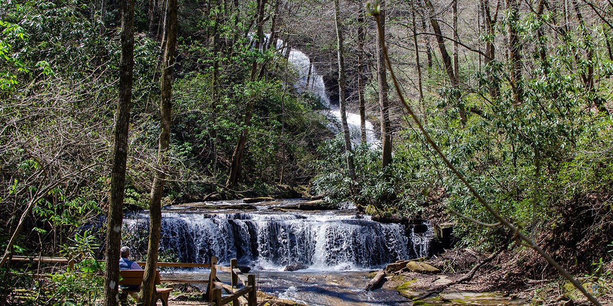 Pearsons Falls North Carolina