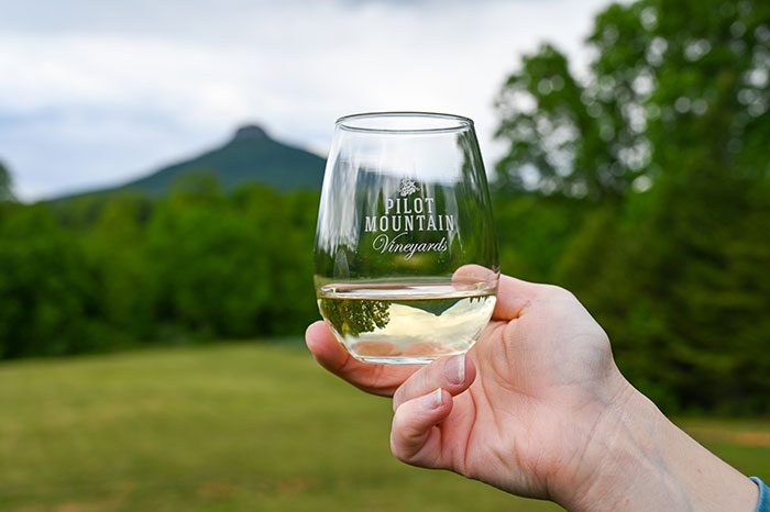 Outgoing Wine Flights - Catch Yours! - Mount Nittany Vineyard & Winery