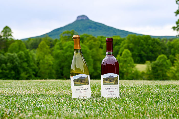 Surry County Wine Trail Pilot Mountain Vineyards