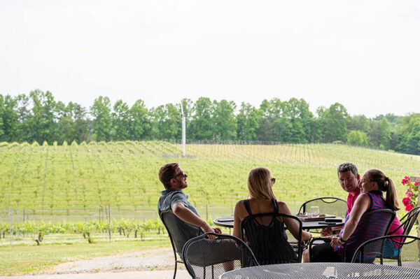 20 Awesome Wineries near Charlotte NC (Best Vineyards!)