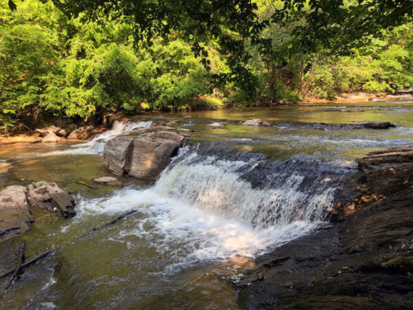 Carter Falls In Elkin NC (5 Amazing Ways to Reach It!)