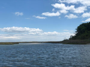 Bear Island NC (How to Reach It and 10 Fun Things to Do!)