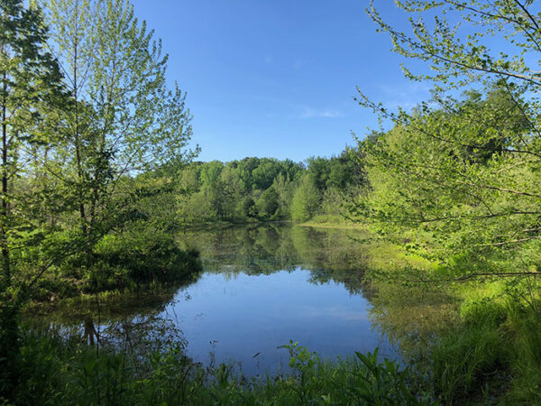 100+ Great Hiking Trails in North Carolina (the Best Hikes)