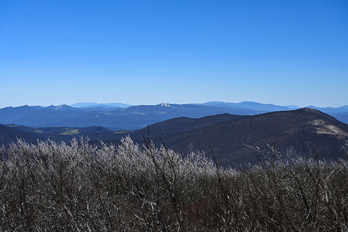 Hiking Trails in North Carolina Elk Knob State Park Summit Trail Late Spring