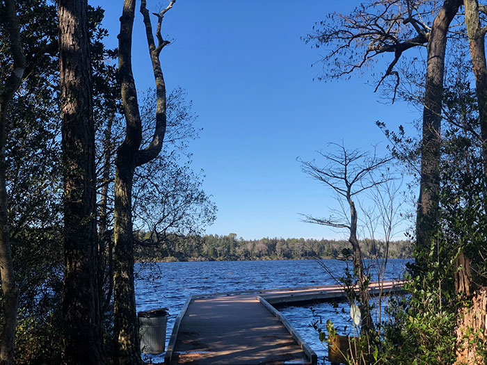 Hiking Trails in North Carolina Jones Lake State Park