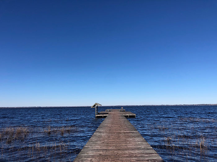 Hiking Trails in North Carolina Lake Waccamaw State Park