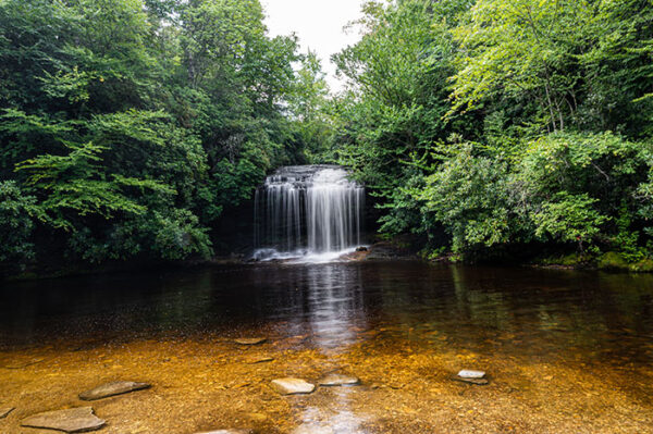 100+ Great Hiking Trails in North Carolina (the Best Hikes)