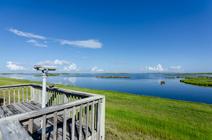 Hiking Trails in North Carolina Pea Island National Wildlife Refuge Outer Banks NC