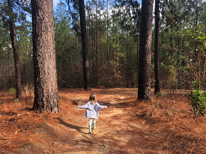 Hiking Trails in North Carolina Weymouth Woods Sandhills Nature Preserve