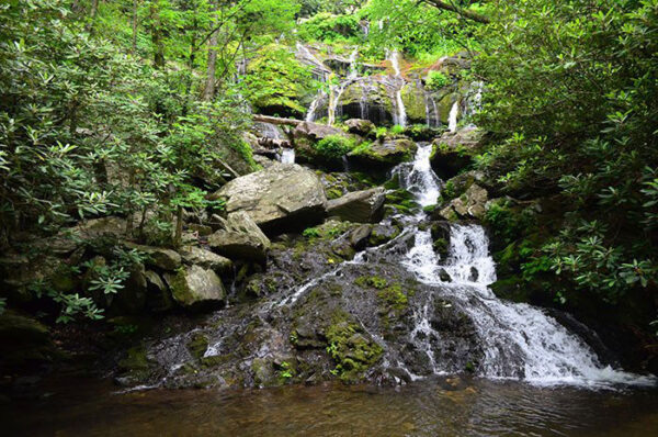 Hiking in Hendersonville (30+ Great Trails Within 1 Hour)