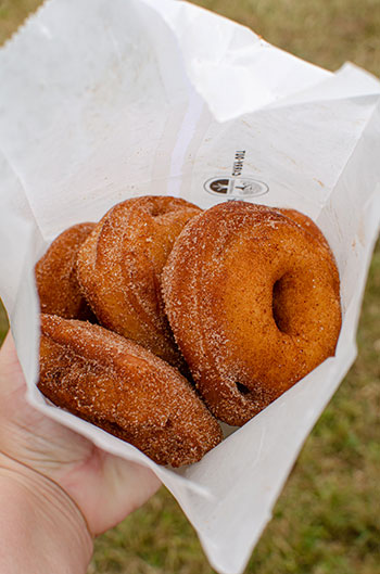 apple cider donuts at Carrigan Farms Mooresville NC