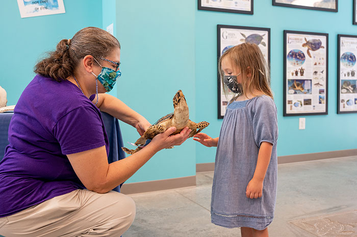 Things to do on Topsail Island Karen Beasley Sea Turtle Hospital