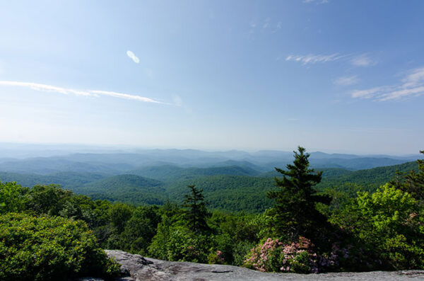 NC Blue Ridge Parkway Hikes (30 of the Best Trails!)