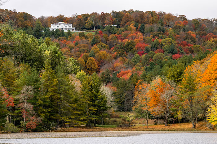 a picturesque scene of fall colors with a white house sitting on a hill