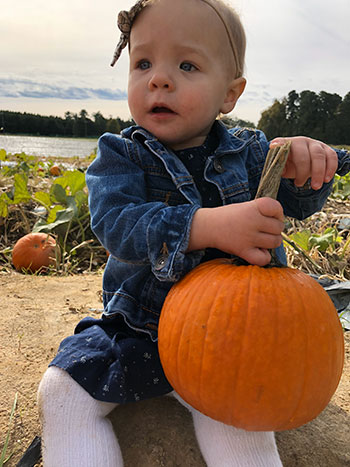 19 Of The Best Pumpkin Patches In North Carolina (+ Map!)