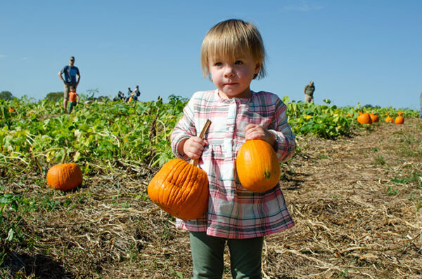 19 of the Best Pumpkin Patches in North Carolina (+ Map!)