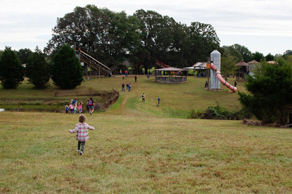 19 Of The Best Pumpkin Patches In North Carolina (+ Map!)