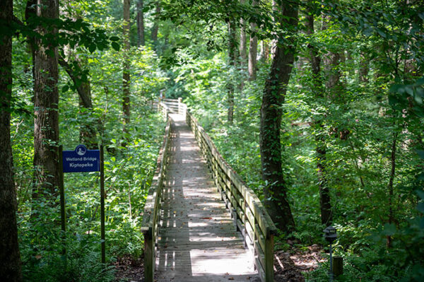 Sylvan Heights Bird Park (How to See 2,000 Exotic Birds!)