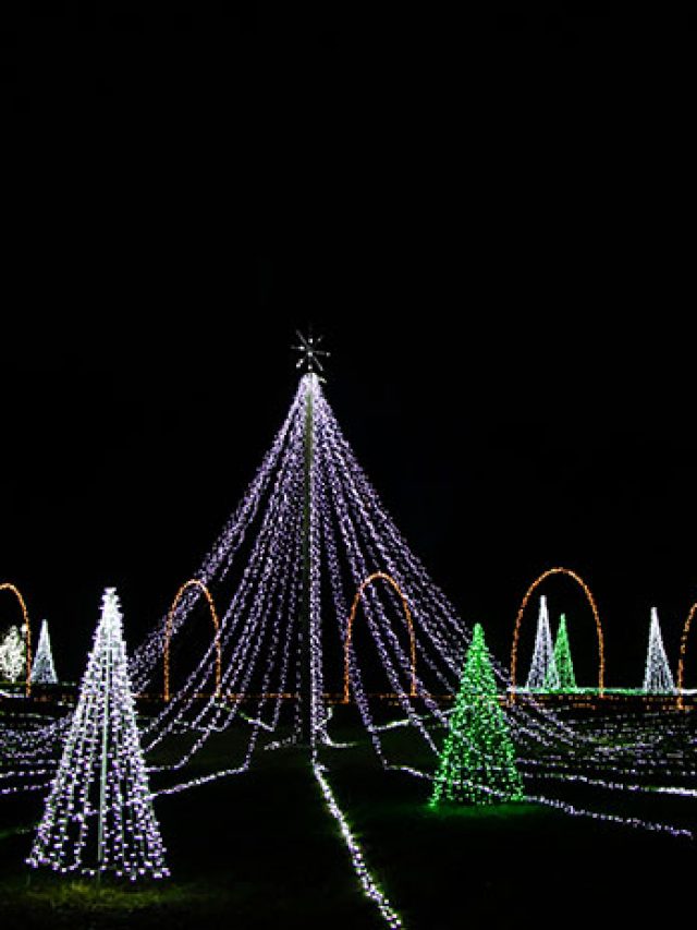 Christmas Lights in North Carolina NC Tripping